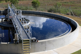 Activated Sludge & Wastewater